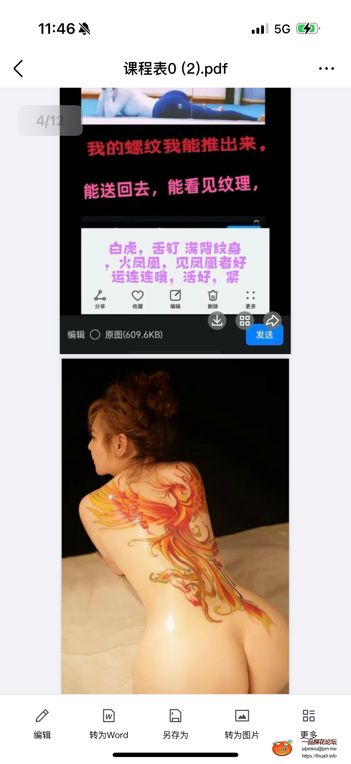 IMG_6135.png
