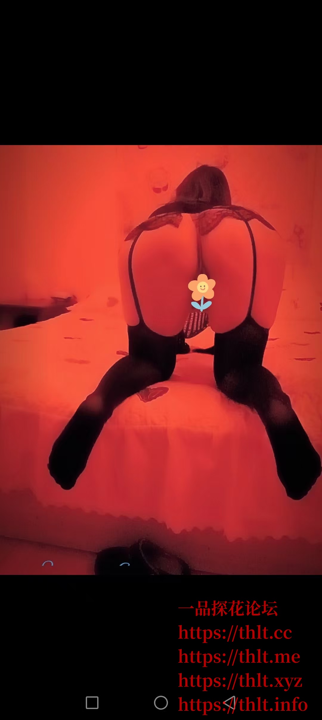 12.jpeg